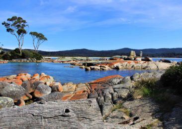Gulch Bay of Fires Eco Tours